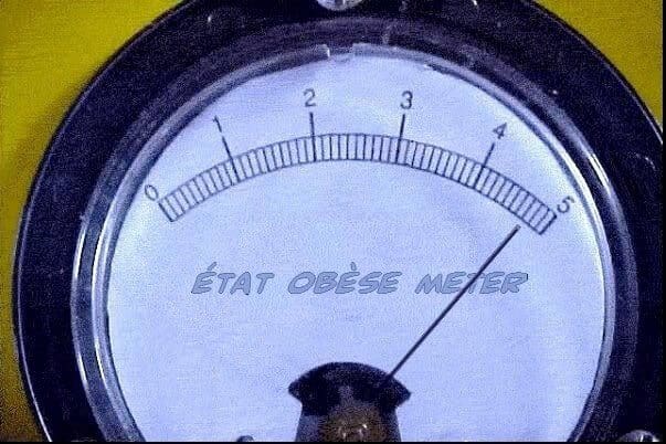 Etat obèse meter